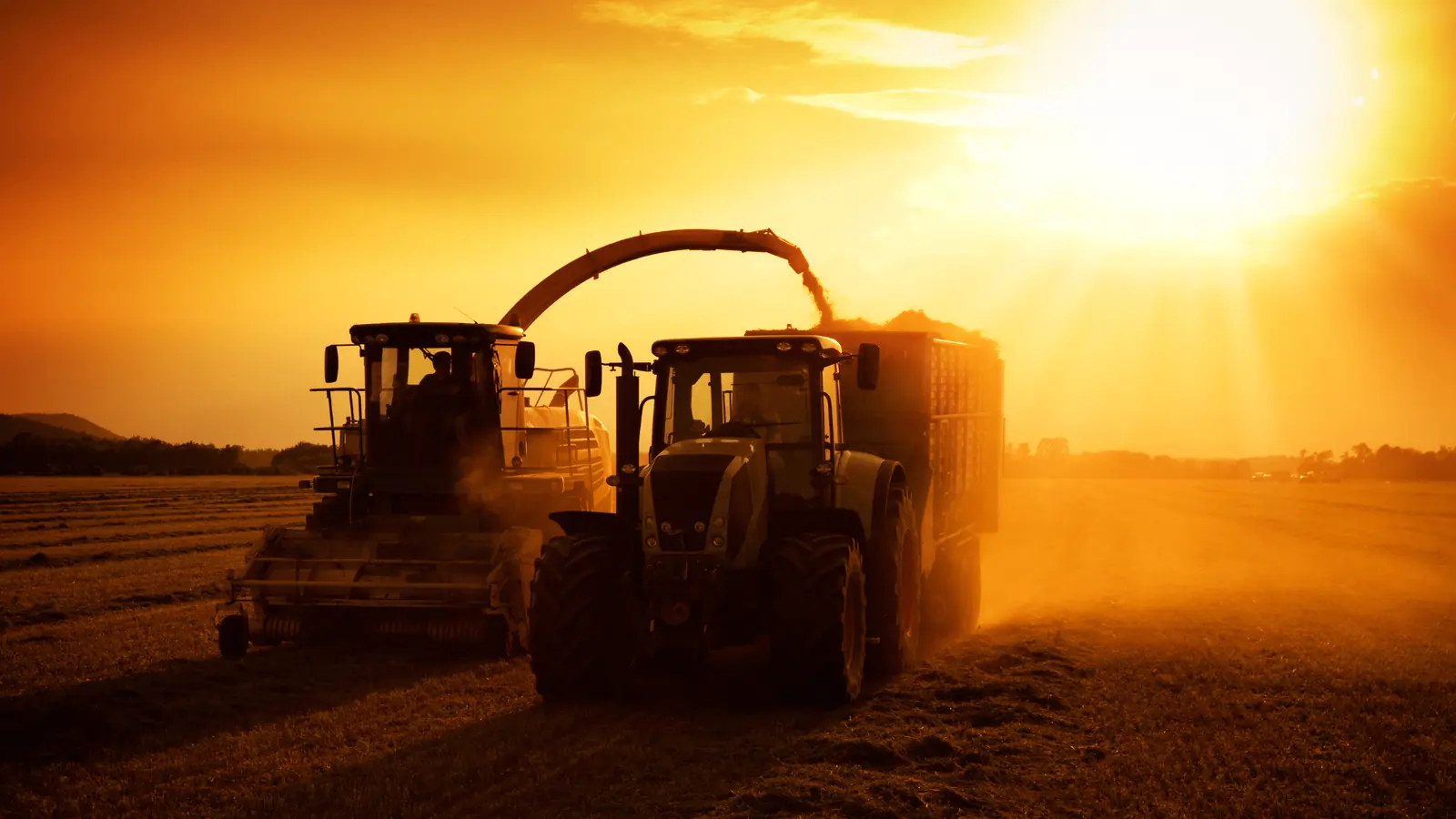 Harvester working an Australian crop at sunset